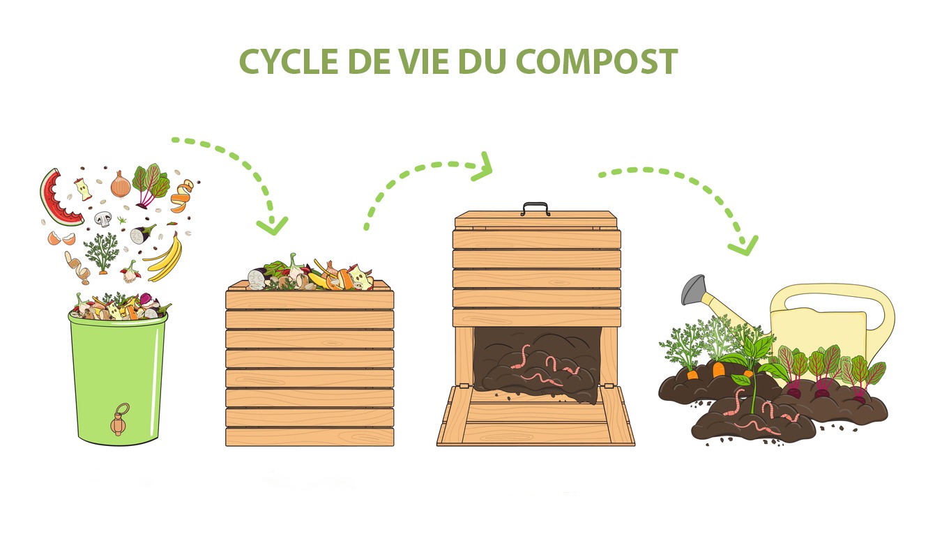 Installer un composteur dans son jardin.