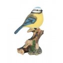 Mésange sur branche