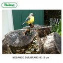 Mésange sur branche