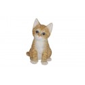 Chaton assis roux 20cm