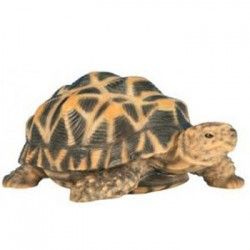 Bébé tortue étoilée en résine