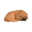 Shar Pei bébé dormant 22 cm