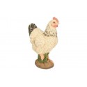 Poule PM blanche 23 c