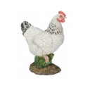 POULE NAINE BLANCHE 27CM