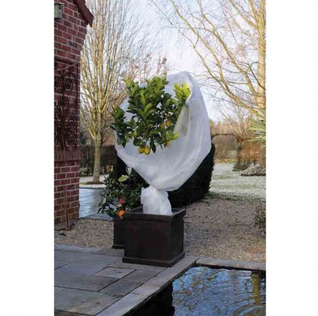 Voile D'hivernage Pour Plantes Covello - 50 G/m², Dimensions 20 M X 1,6 M = 32 M² | Protection Contre Gel, Vent, UV, Respirant, Réutilisable
