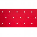Film de paillage FRAISES