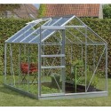 Intro Grow - Ivy - 5m
