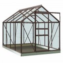 Intro Grow - Ivy - 5m