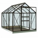 Intro Grow - Ivy - 5m