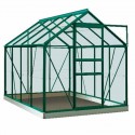 Intro Grow - Ivy - 5m
