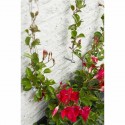Kit treillis métallique pour plantes grimpantes