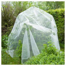 Filet anti-insectes arbres fruitiers 5,20 x 5m 