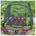 Serre de jardin pour carré potager