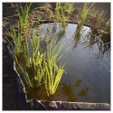 Bordure pour jardin et bassin en rouleau