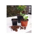 Petits pots horticoles carrés pour semis