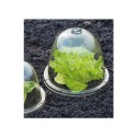 Cloches de forçage