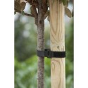 Bandeau de tuteurage avec attache velcro