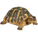 Tortue Hermann GM 24 cm en résine