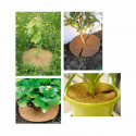 disque coco 30cm pot