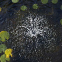Pompe pour bassin Elimax