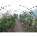Serre tunnel PRO-450