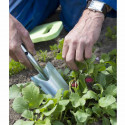 Transplantoir