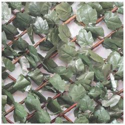 Treillis extensible feuilles de lierre