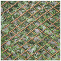 Treillis 'Feuilles vigne vierge verte' H 1m