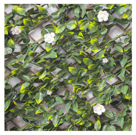 Treillis extensible feuilles de jasmin fleuri