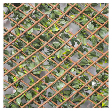 Treillis extensible feuilles de jasmin fleuri