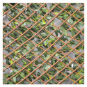 Treillis extensible feuilles de jasmin fleuri