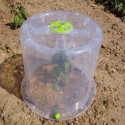Lot de 3 cloches potagères à forcer