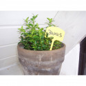 Lot de 10 étiquettes pour plantes en plastique