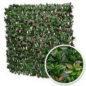 Treillis extensible feuillage photinia