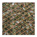 Treillis extensible feuillage photinia