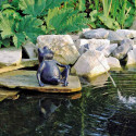 Fontaine grenouille