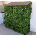 Mur végétal artificiel Liseron 1m x 1m