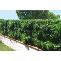 Mur végétal artificiel Liseron 1m x 1m