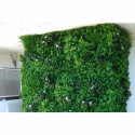 Mur végétal artificiel Liseron 1m x 1m