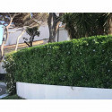 Mur végétal artificiel Liseron 1m x 1m
