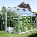 Serre en verre trempé Laurus 8.10 m²