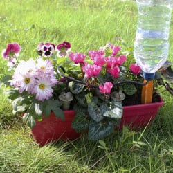 Pot de fleurs en plastique à arrosage automatique en goutte à goutte -  JoliPot
