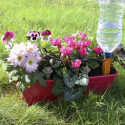 Kit jardinière 3 goutteurs Iriso
