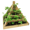 Pyramide à plants de 80 cm