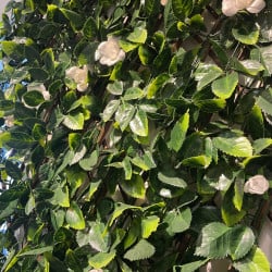 Treillis extensible feuilles de jasmin fleuri