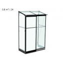 Serre adossée en verre trempé 0.80m²