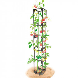 Tuteur cage tomate modulable