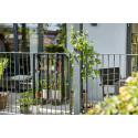 Serre de jardin Urban Balcony en verre trempé 0.16 m²