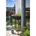 Serre de jardin Urban Vertical en verre trempé 0.25 m²