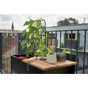 Serre de jardin Urban Vertical en verre trempé 0.25 m²